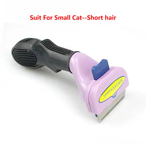 Cat S - Short hair