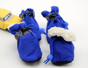 Blue Warmer