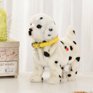Dalmatian
