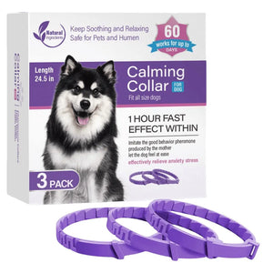 3pcs dog