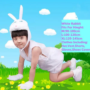 white rabbit