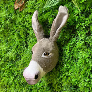 Donkey