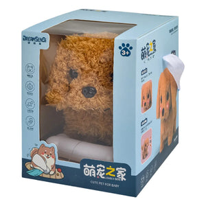 Teddy
