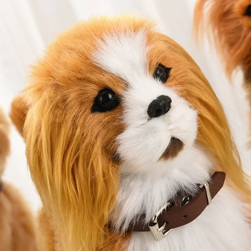 S0ece233b79524c2d958720377fa477408