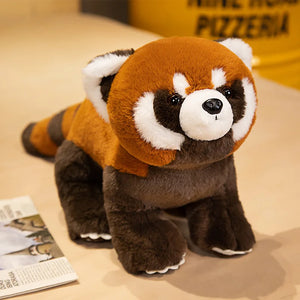 Stand raccoon