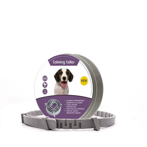 Dog-grey-62cm