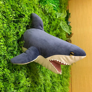 Shark 1