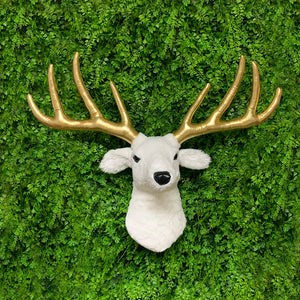 Elk