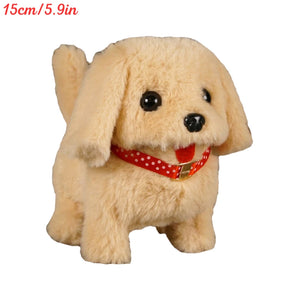 Labrador