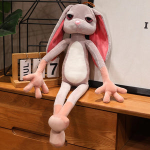 rabbit