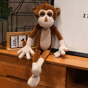 monkey