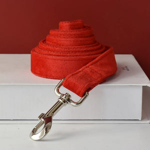 Dog Leash