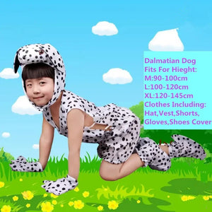 dalmatian dog
