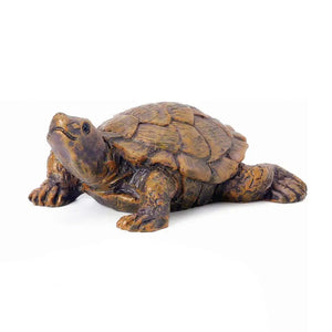 Tortoise