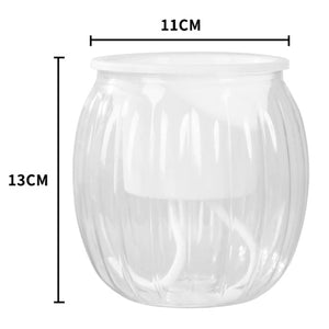 Transparent-2