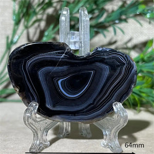 20g