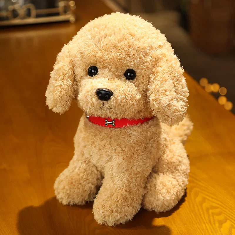S200316eca91e471e91b9909392d3ed5f0