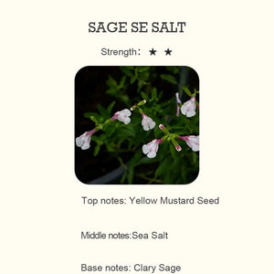 SAGE SE SALT