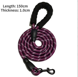 Leash -purple