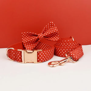Bow Collar Leash02