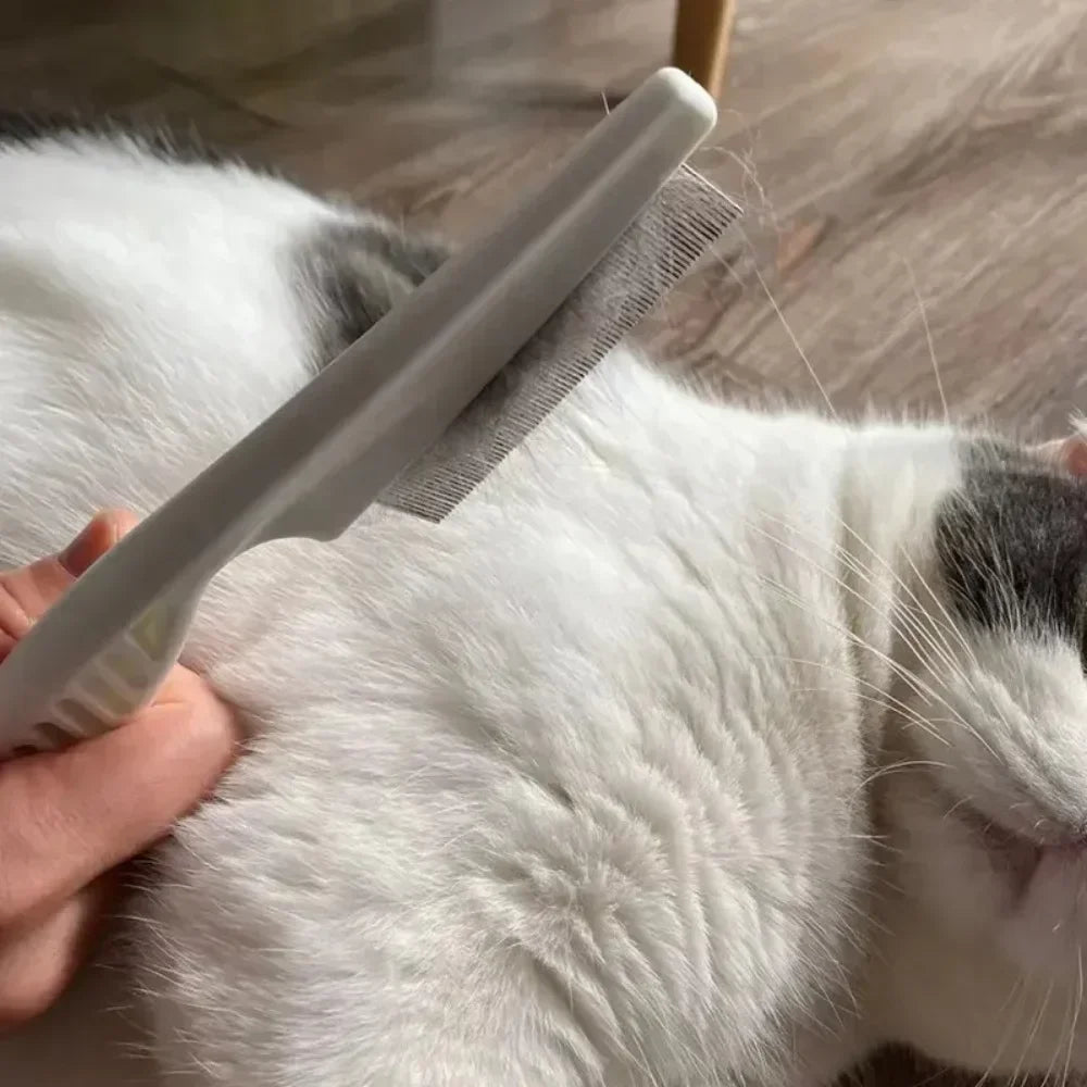 S24af9eb138a94889850630a9ab4472b4g