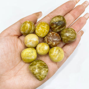 Yellow Jade