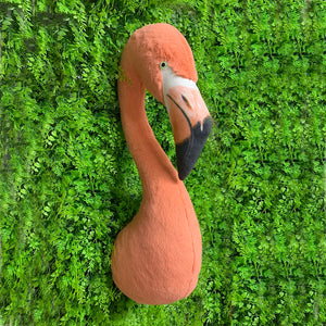 Flamingo 3