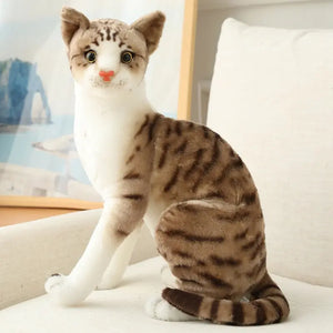 brown sit 20cm