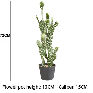 72CM