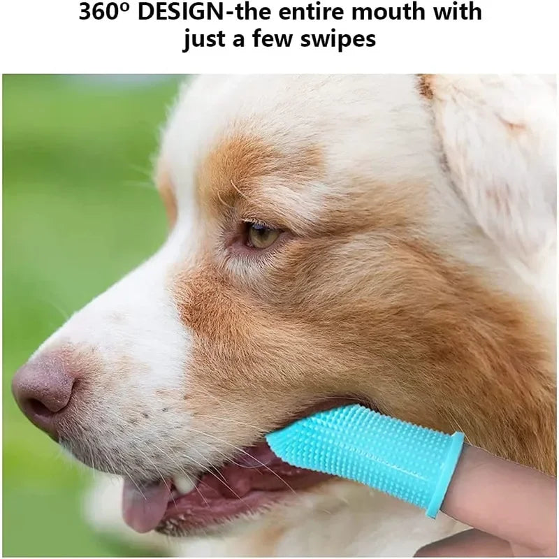 S2b58b0abb3454b02b46591a18edc9fe22