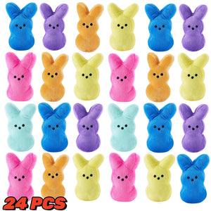 24 PCS