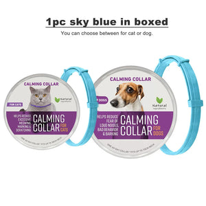 1pc Skyblue in boxed