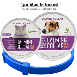 1pc Blue in boxed
