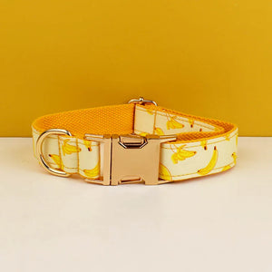 Dog collar02
