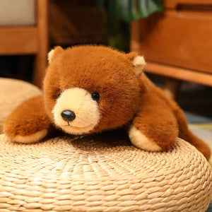 brown bear