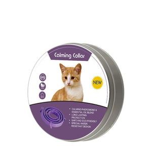 Cat-purple-38cm