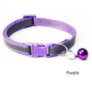 03 purple