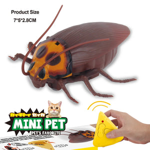 mini cockroach