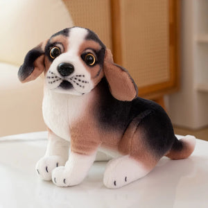 Beagle squat
