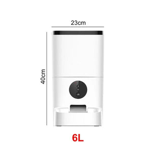 6 L