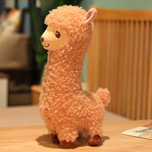 Brown   Alpaca