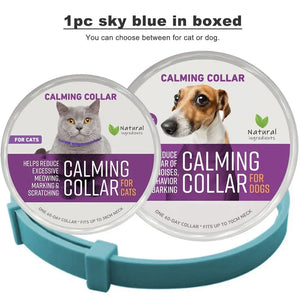 1pc SkyBlue in boxed