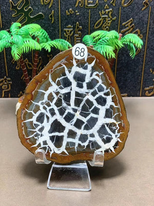 135g      74mm