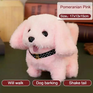 Pomeranian