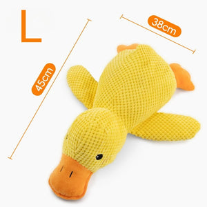 BB calls ducks L