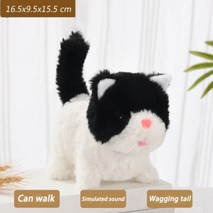 Bantam cat Black