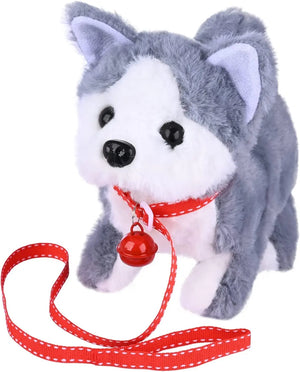 Husky Dog