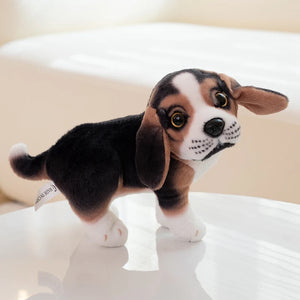 Beagle station