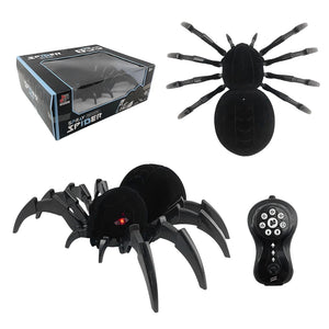RC Spider