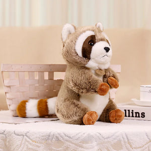 raccoon
